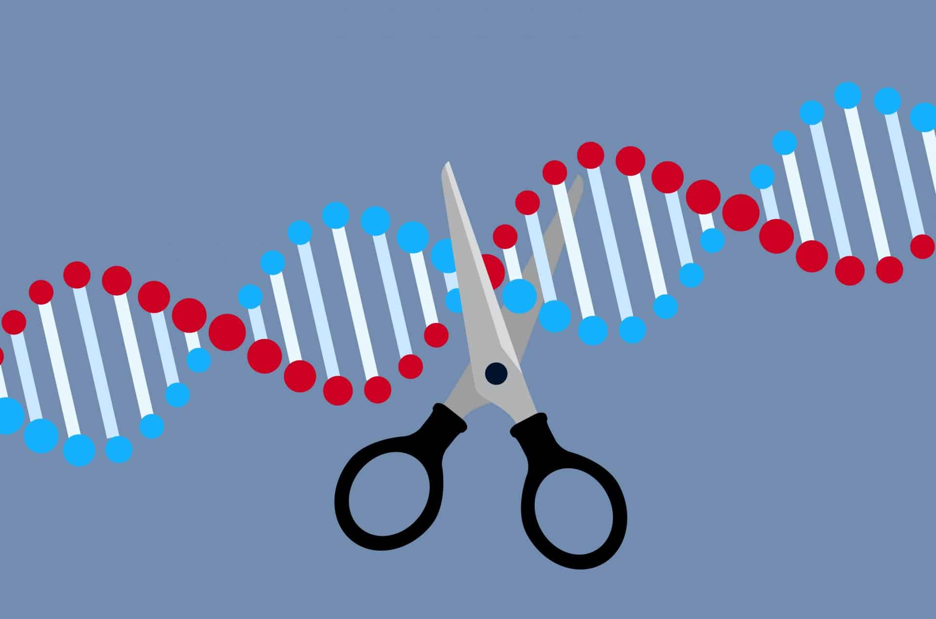 DNA modification